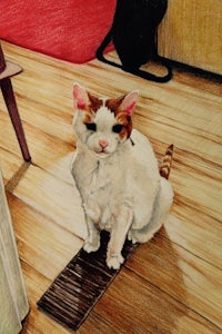 a drawing of a cat sitting on a wooden floor