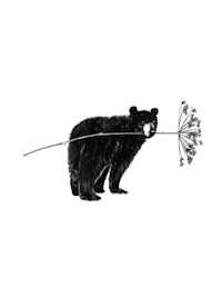 a black bear holding a dandelion