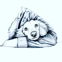 a drawing of a dog