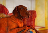 a painting of a brown dog sitting on a couch