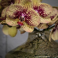 a vase with a bunch of flowers in it