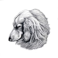 a black and white drawing of a dog's head