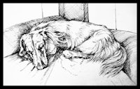 a drawing of a dog laying on a couch