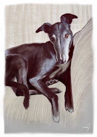 a drawing of a black dog laying on a couch